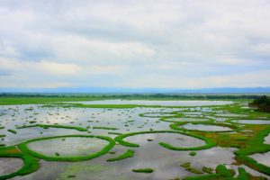 Loktak Lake