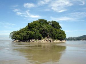 Umananda