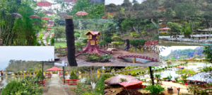 Awunching Garden