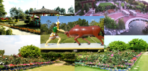 Millenium Garden